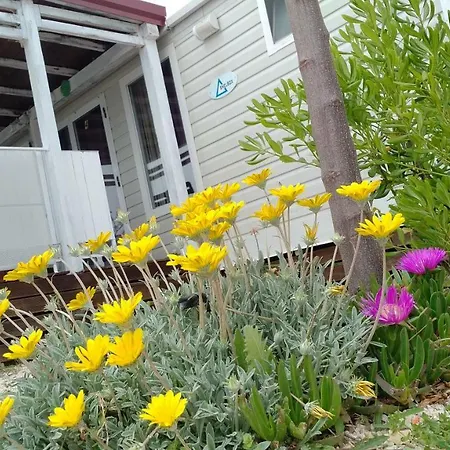 Blue Horizon House Tatil Evi